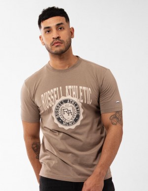 Russell Athletic Big Seal Magliette Uomo Beige | 4109MROQZ